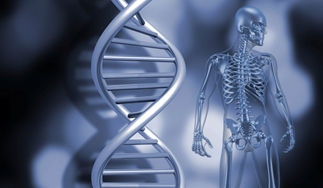 유전과 외부요인